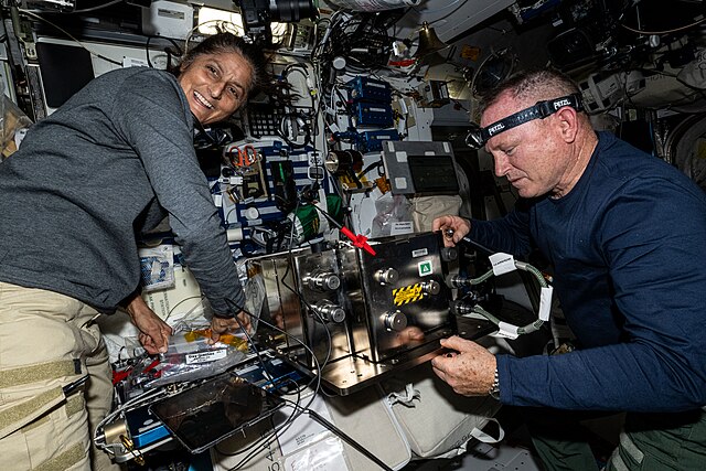 Wilmore and Williams work on ISS plumbing hardware.